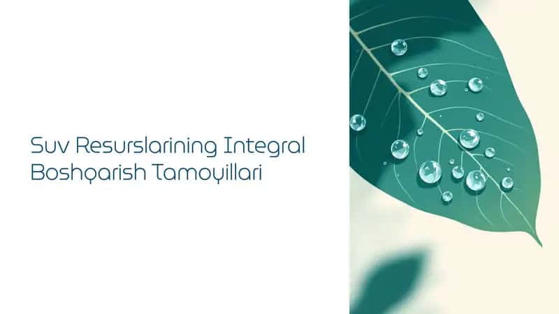 Suv resurslarining integral boshqarishning tamoyillari