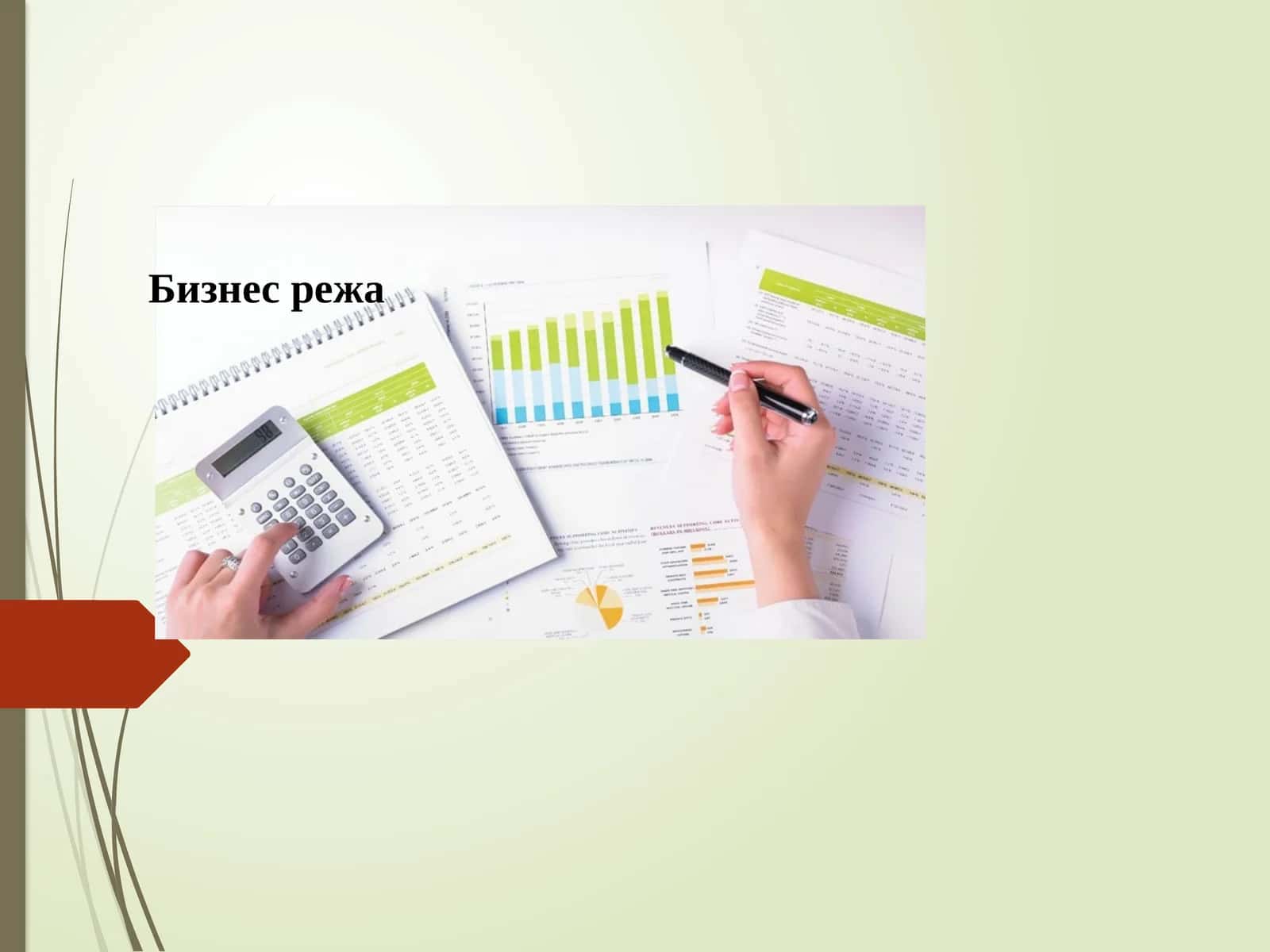 Бизнес-режа