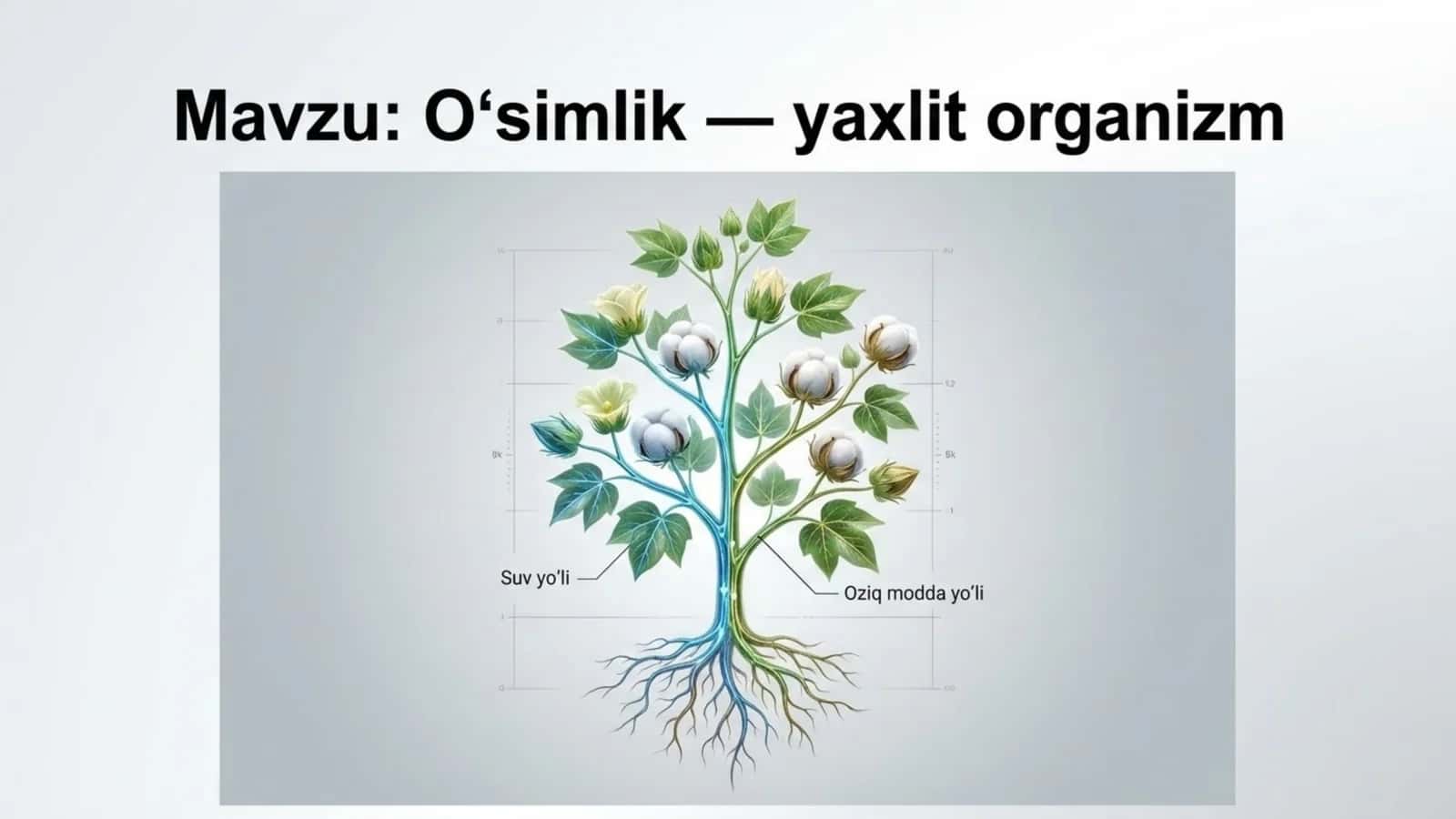 O'simlik - yaxlit organizm