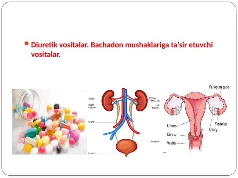 Diuretik vositalar va bachadon mushaklarini qisqartiruvchi vositalar