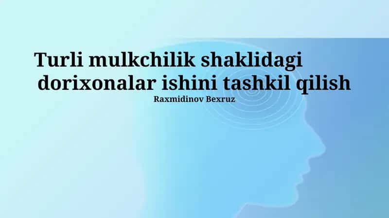 Turli Mulkchilik Shaklidagi Dorixonalar Ishini Tashkil Qilish