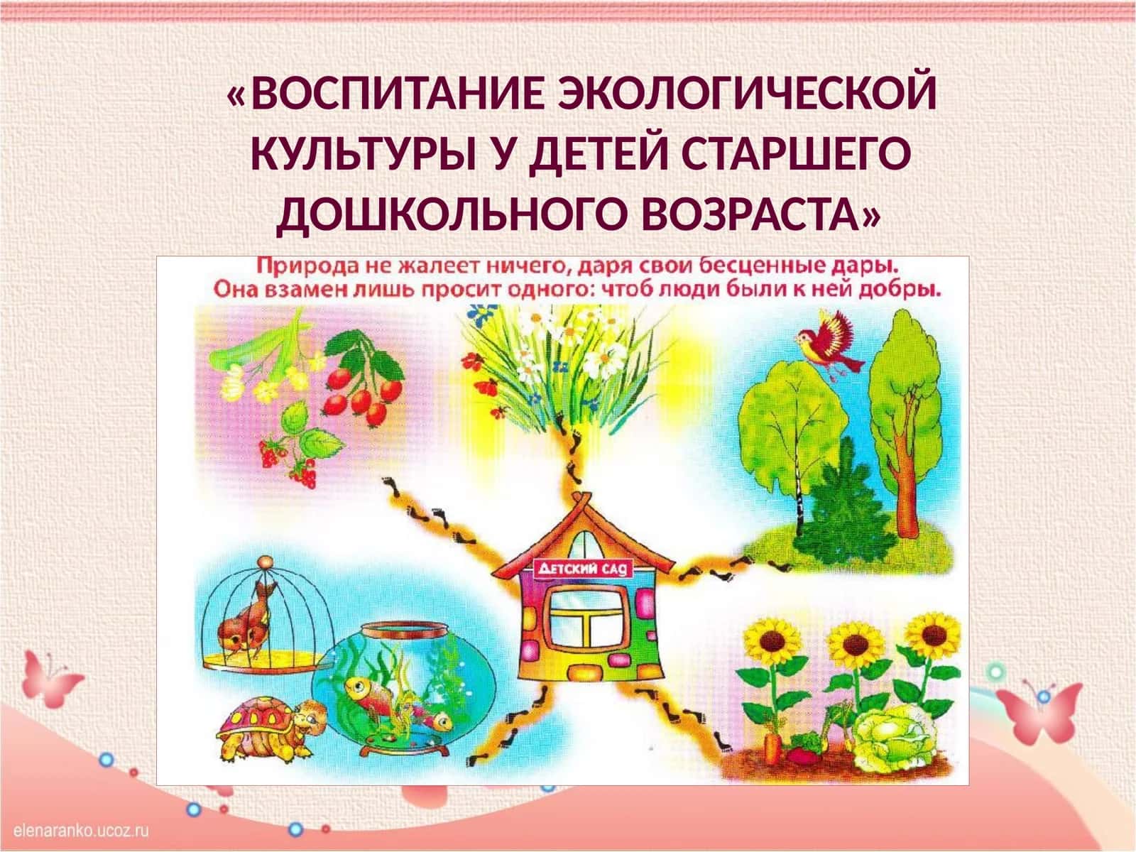 ВОСПИТАНИЕ ЭКОЛОГИЧЕСКОЙ КУЛЬТУРЫ У ДЕТЕЙ СТАРШЕГО ДОШКОЛЬНОГО ВОЗРАСТА