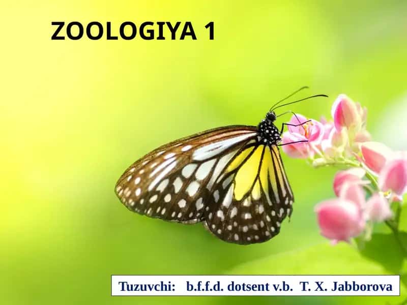 ZOOLOGIYA 1