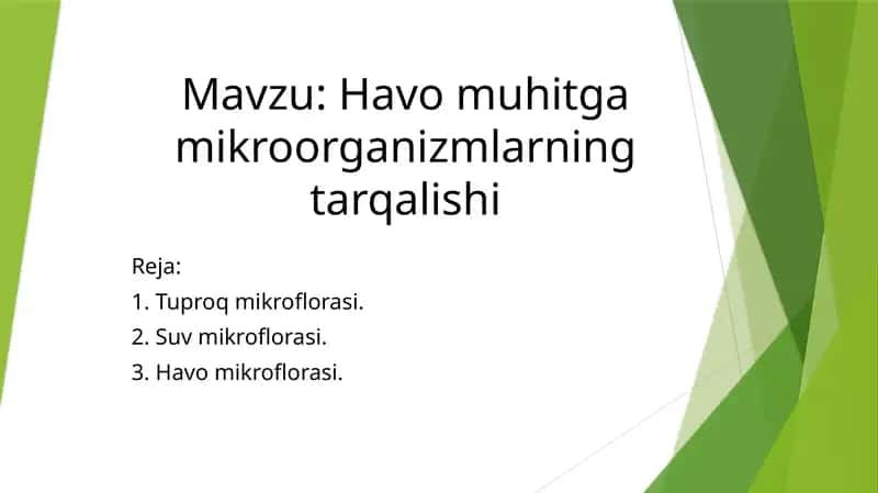 Tuproq mikroflorasi