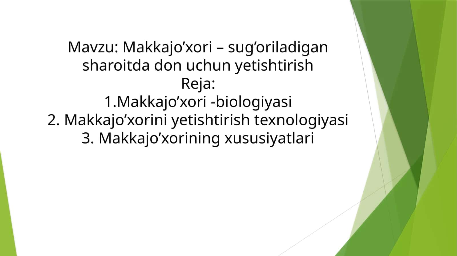 Makkajo’xori–sug’oriladigansharoitdadonuchunyetishtirish