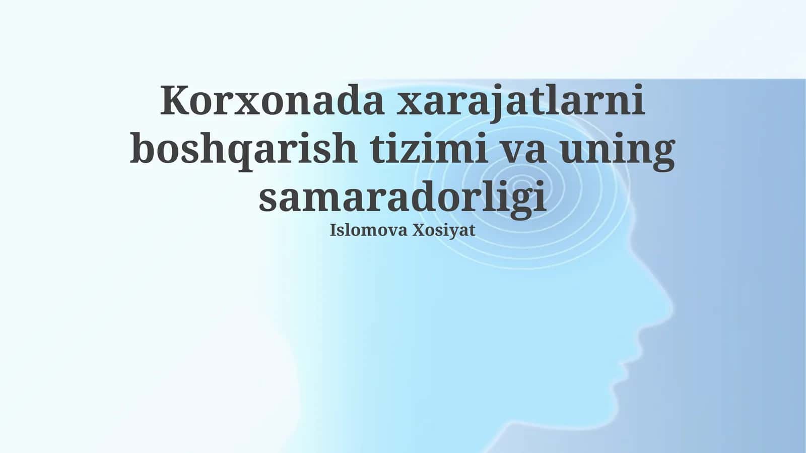 Korxonada xarajatlarni boshqarish tizimi va uning samaradorligi