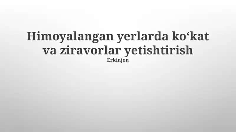 Himoyalangan yerlarda ko‘kat va ziravorlar yetishtirish
