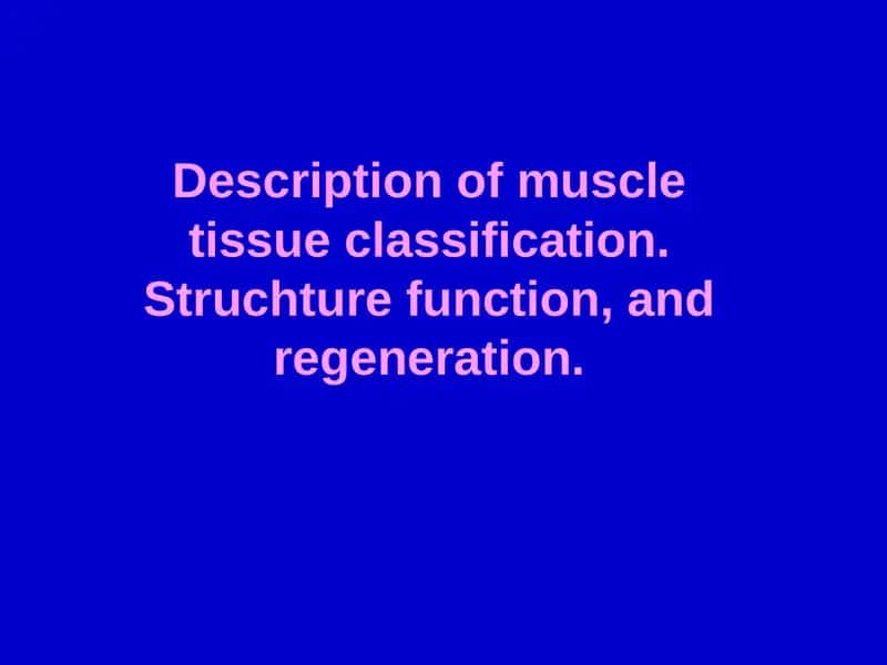 Muscular Tissue Classification