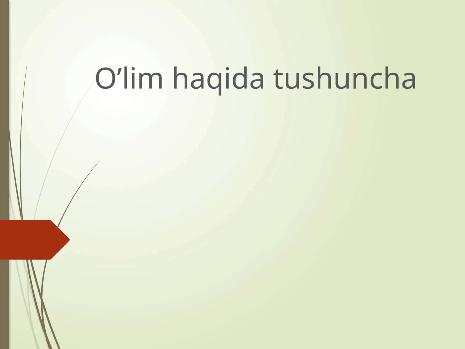 O’lim haqida tushuncha