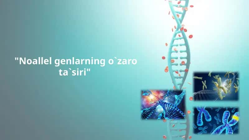 Noallel genlarning o`zaro ta`siri
