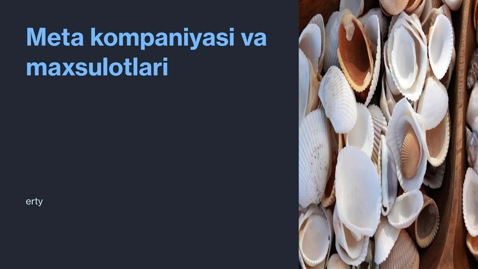 Meta kompaniyasi va maxsulotlari