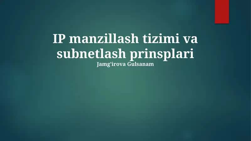 IP manzillash tizimi va subnetlash prinsplari