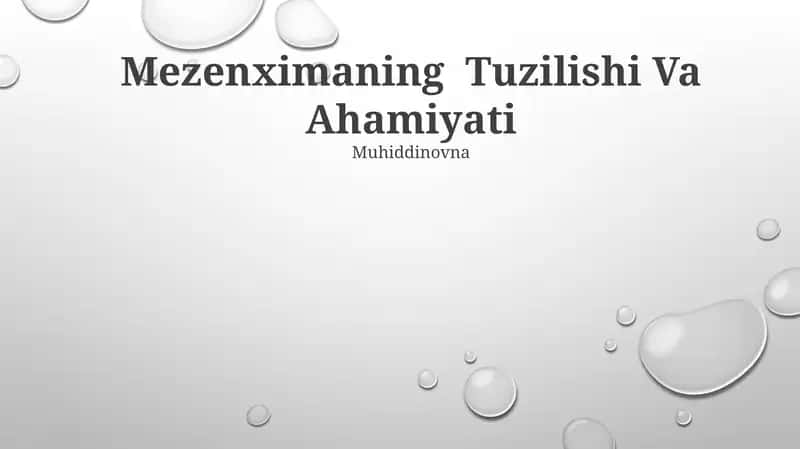 Mezenximaning Tuzilishi Va Ahamiyati
