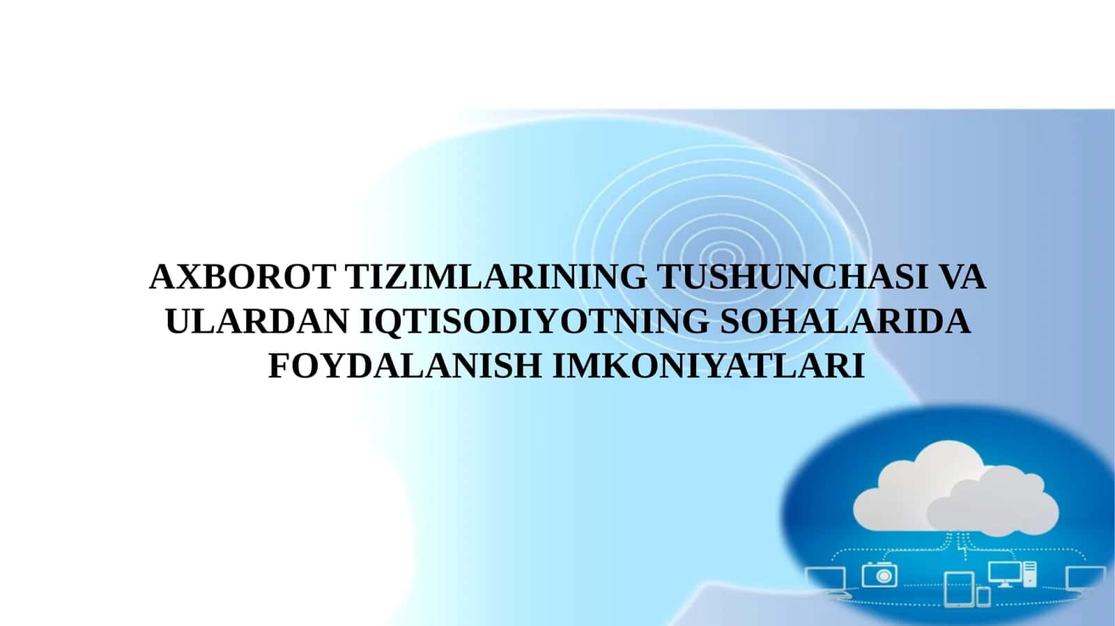 Axborot tizimlarining tushunchasi va ulardan iqtisodiyotning sohalarida foydalanish imkoniyatlari