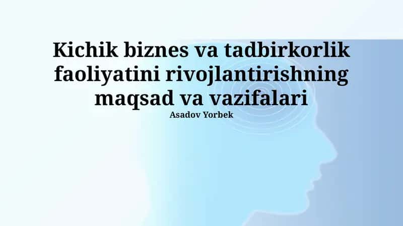 Kichik biznes va tadbirkorlik faoliyatini rivojlantirishning maqsad va vazifalari