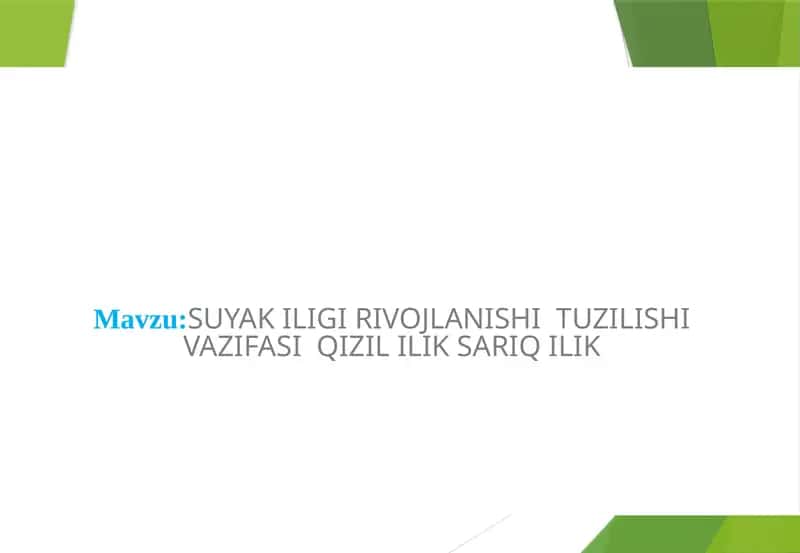SUYAK ILIGI RIVOJLANISHI TUZILISHI VAZIFASI QIZIL ILIK SARIQ ILIK