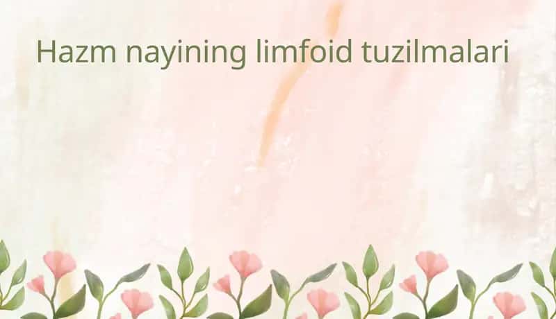 Hazm nayining limfoid tuzilmalari