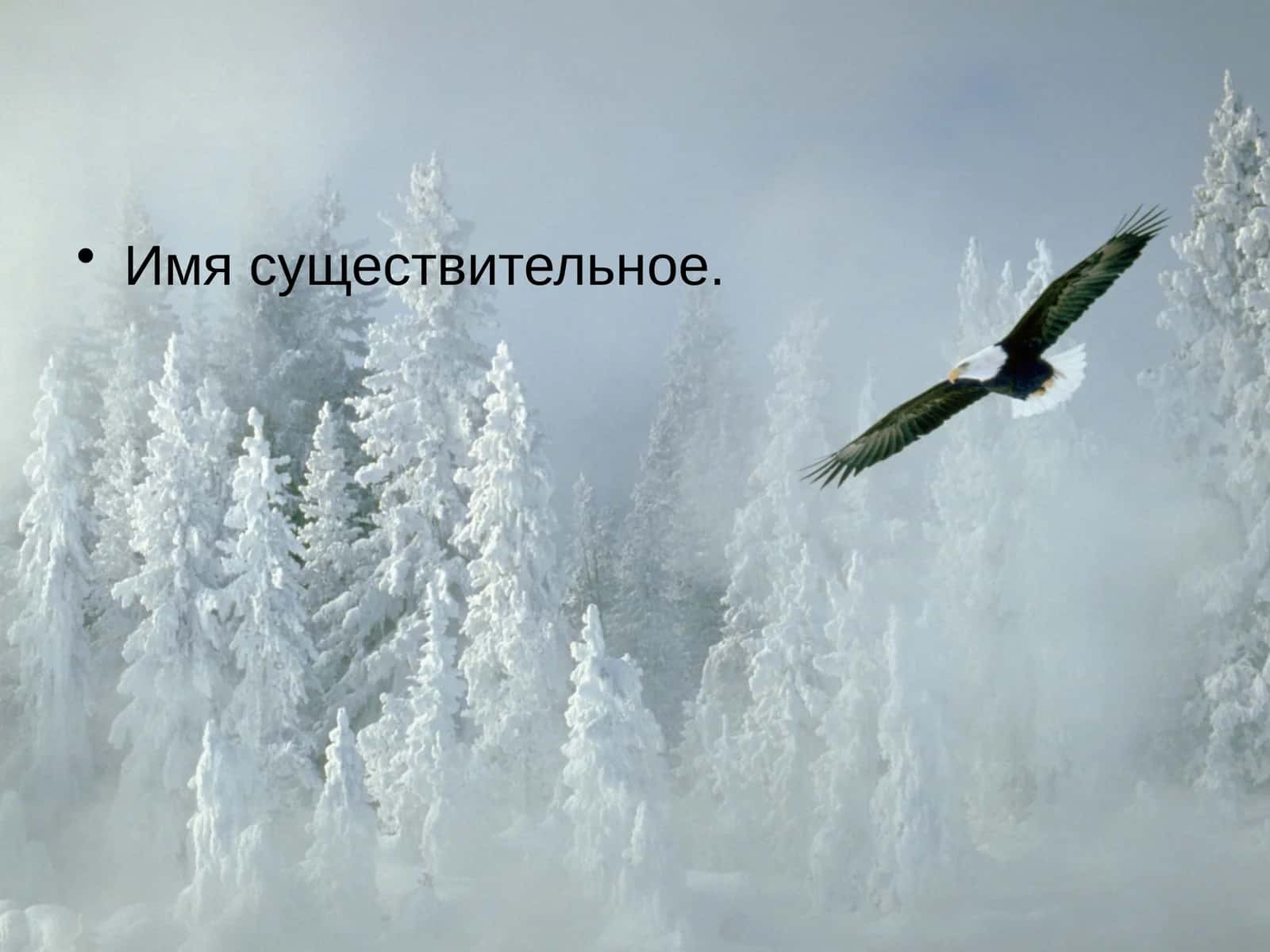 Имя существительное