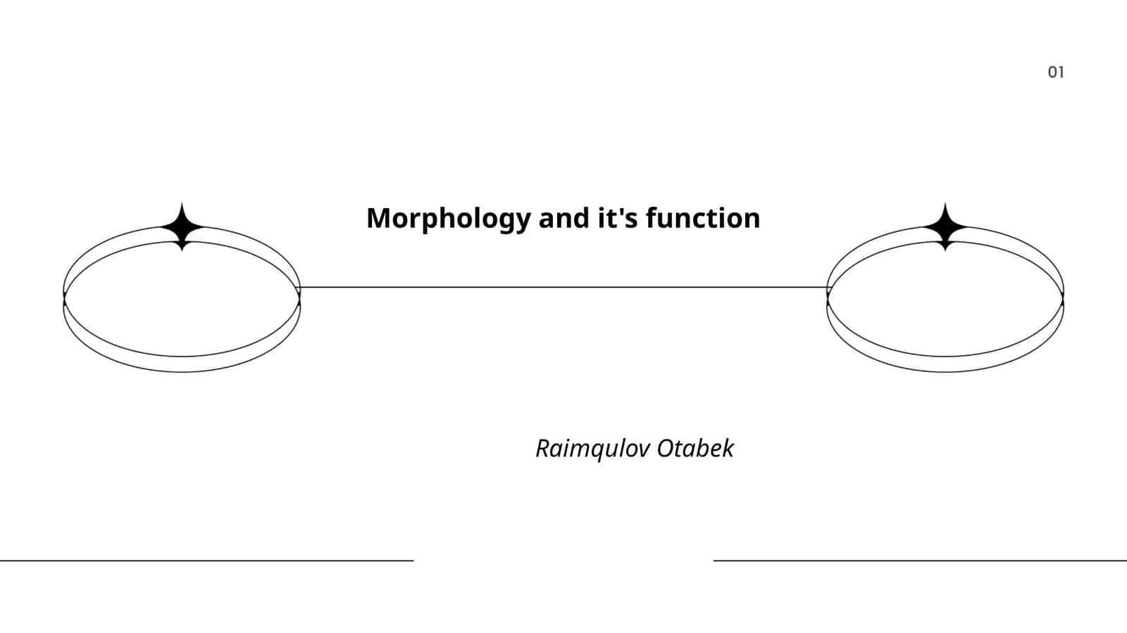 Morphologiya va uning funktsiyalari