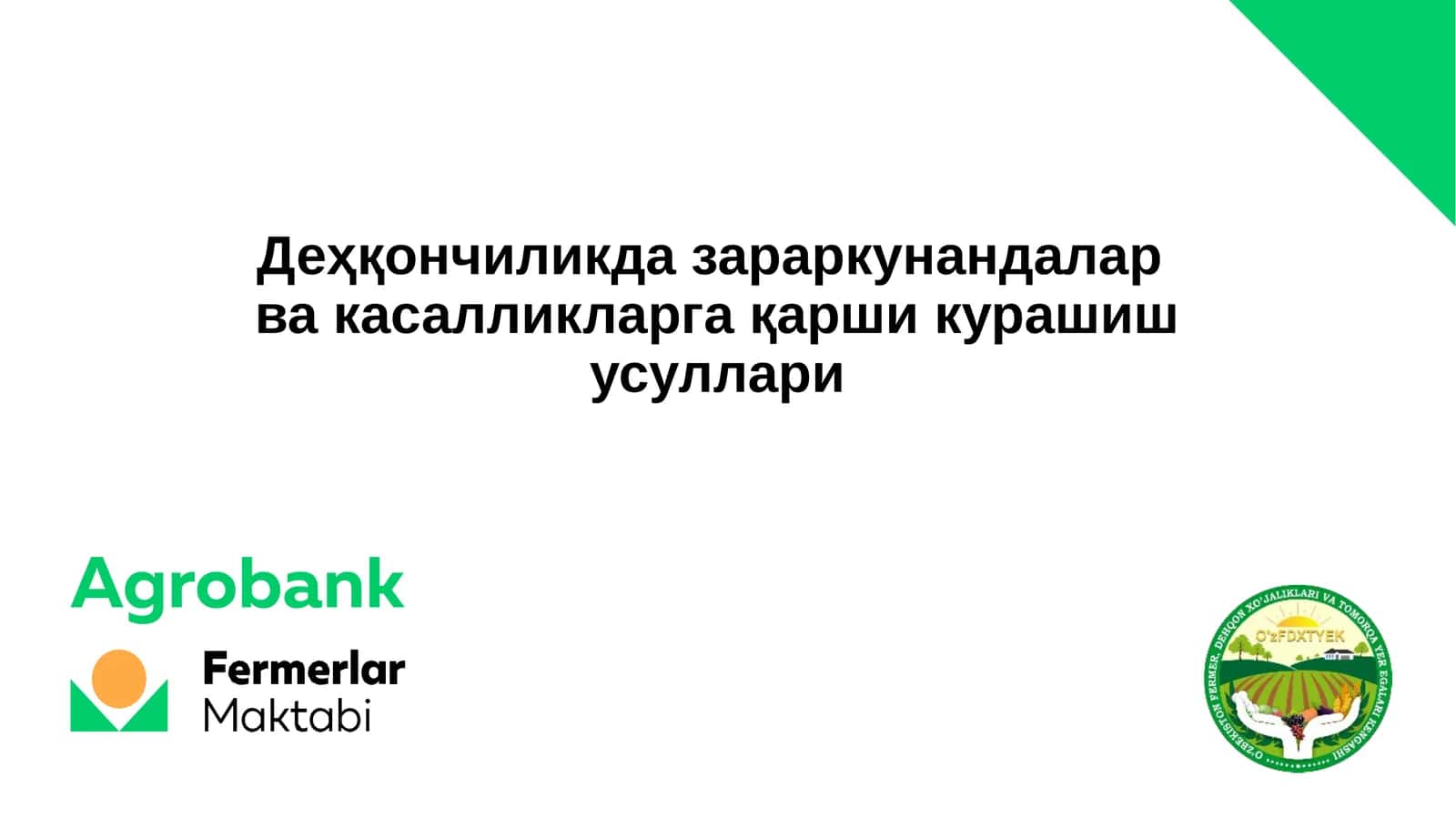 КУЗГИ ТУНЛАМ