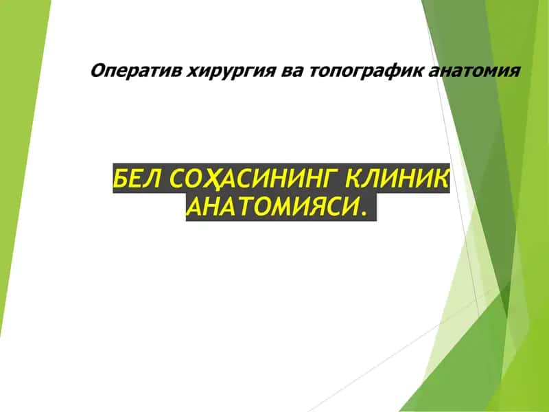 БЕЛ СОҲАСИНИНГ КЛИНИК АНАТОМИЯСИ