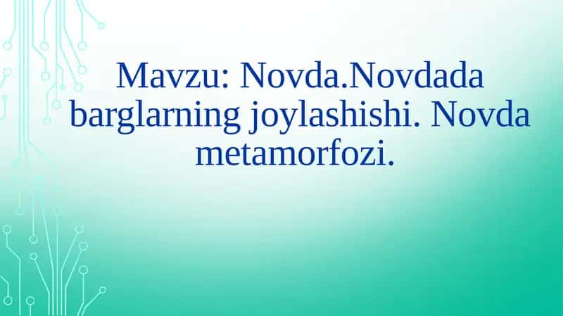 Novda