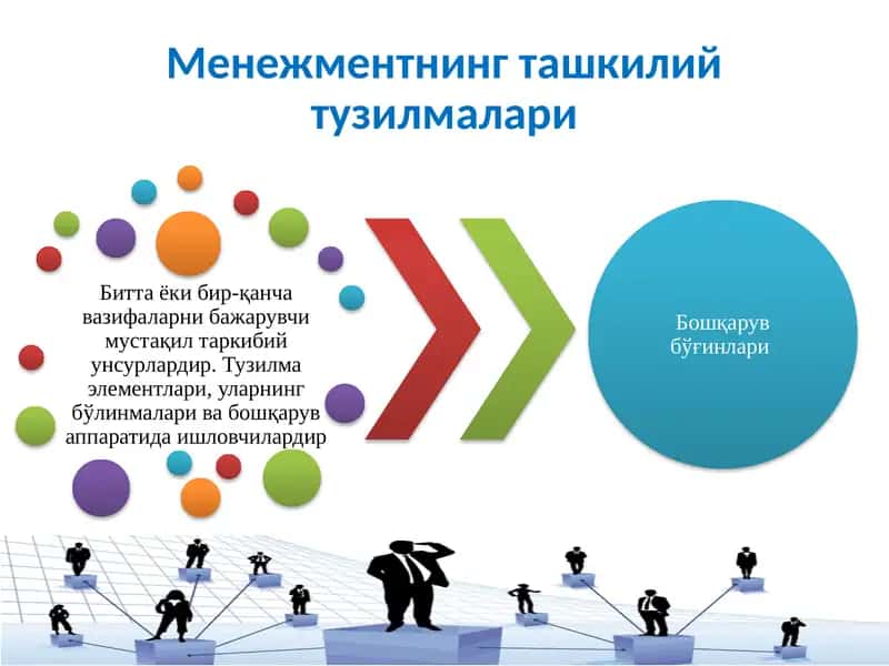 Менежментнинг ташкилий тузилмалари