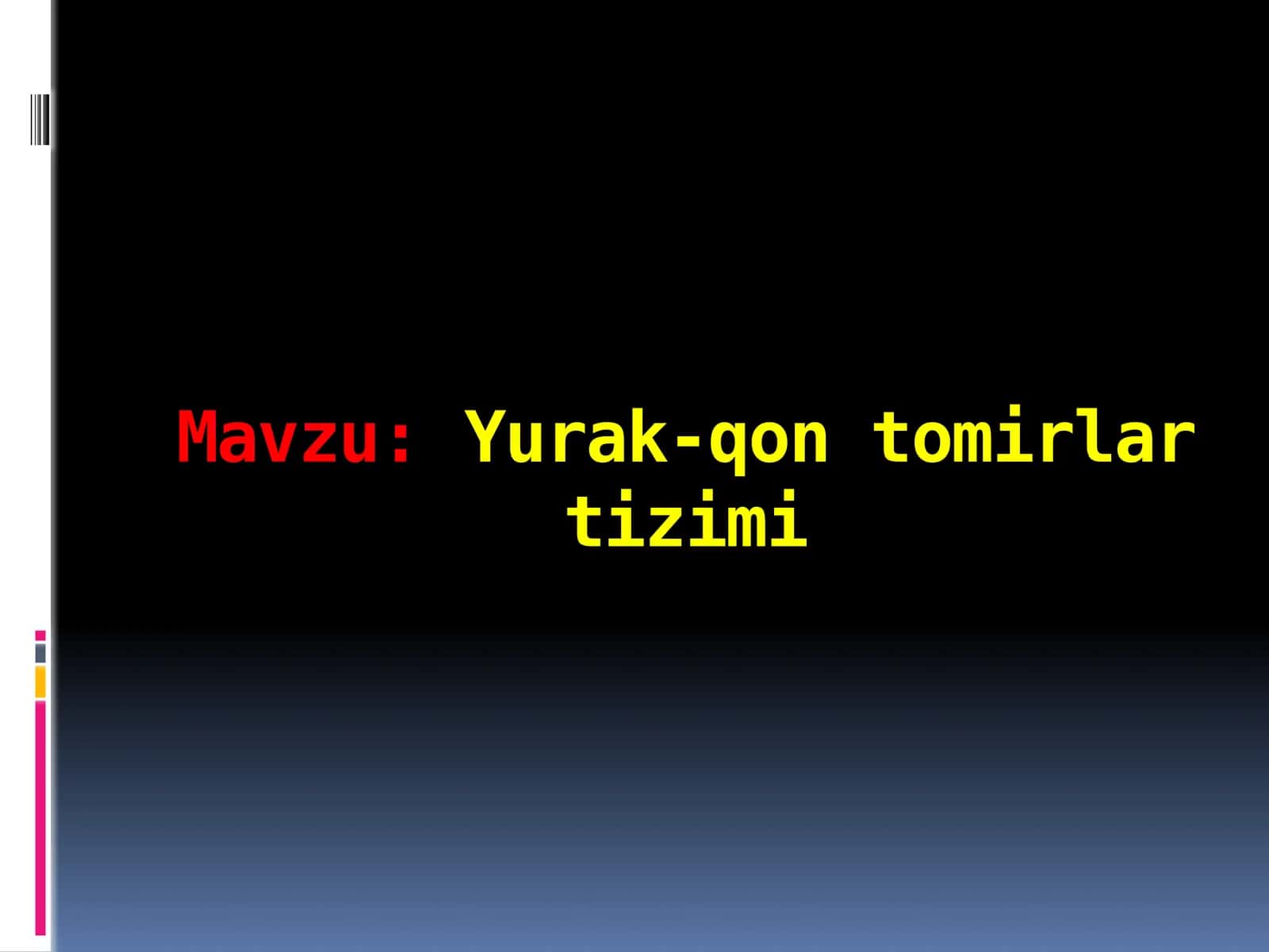Yurak-qon tomirlar tizimi
