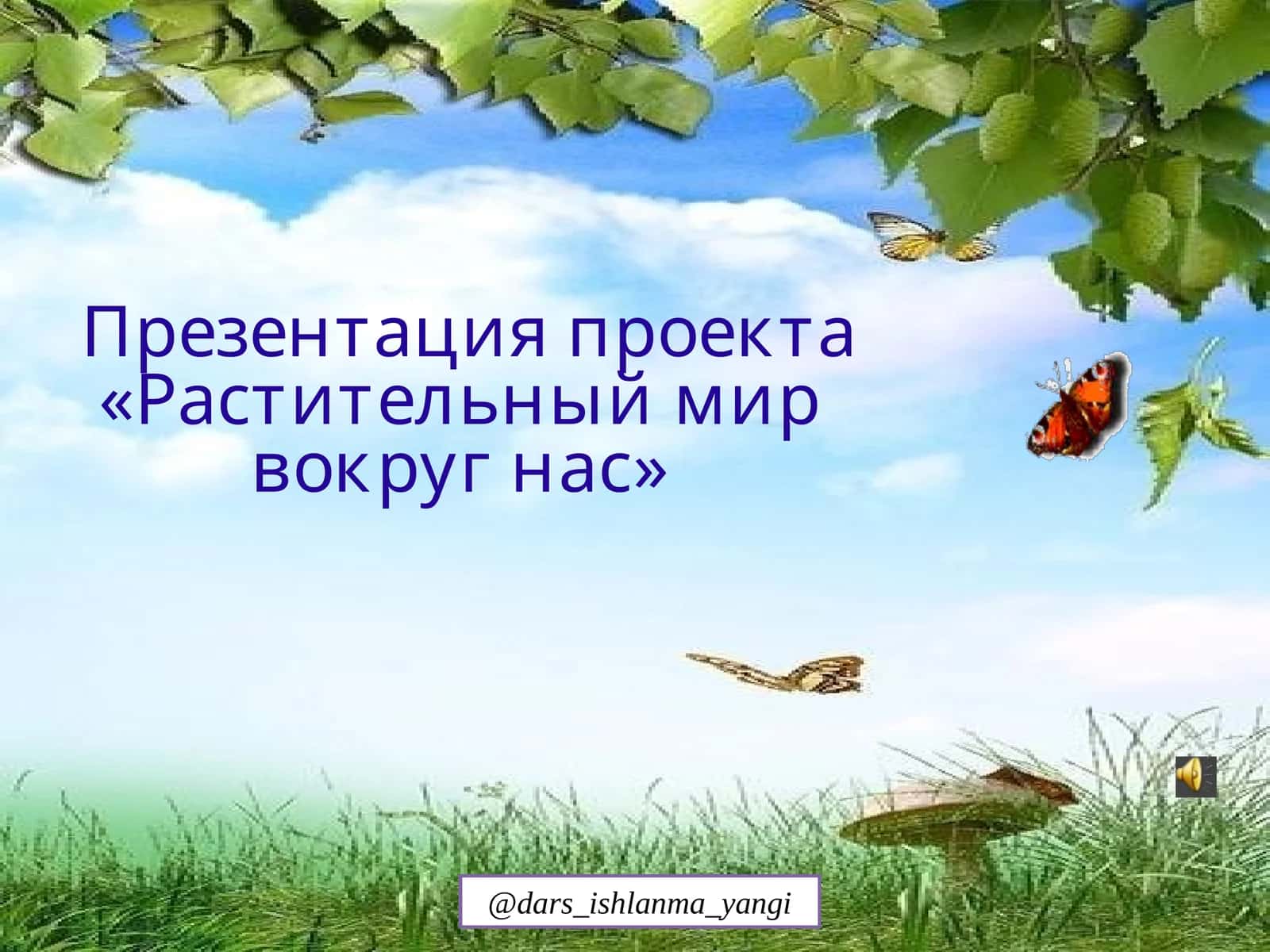 «Растительный мир вокруг нас»