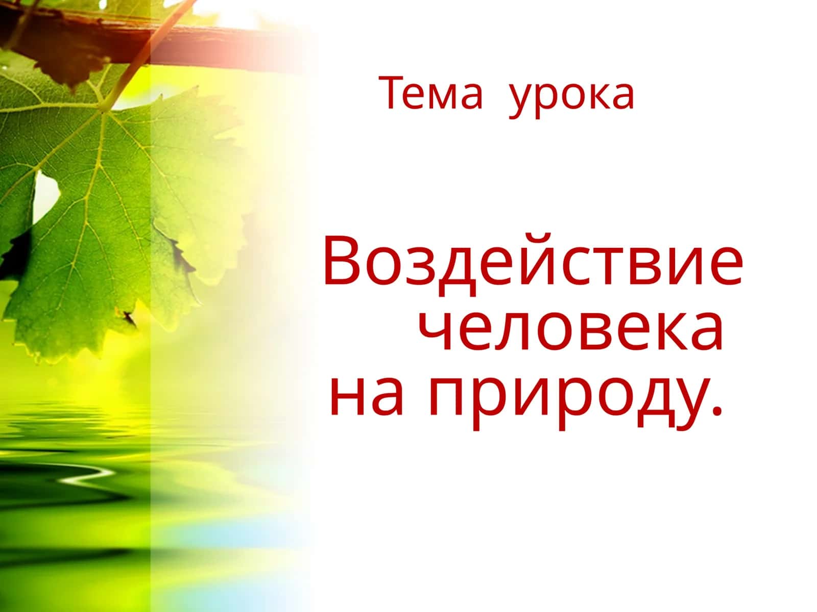 Воздействие человека на природу