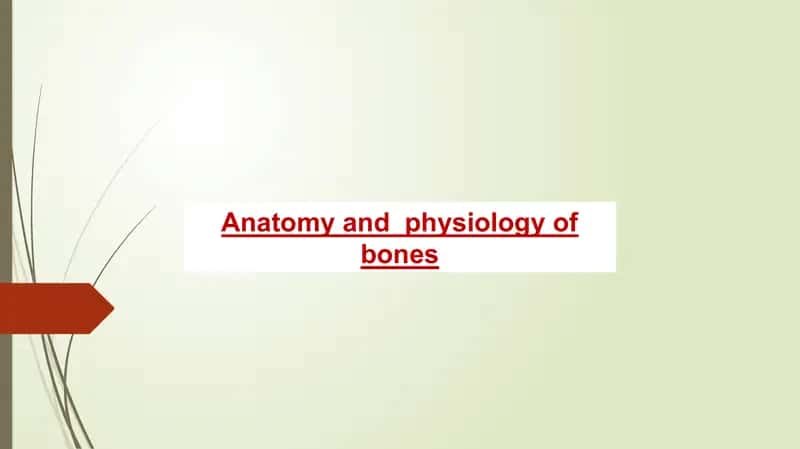 Anatomy and physiology of bones