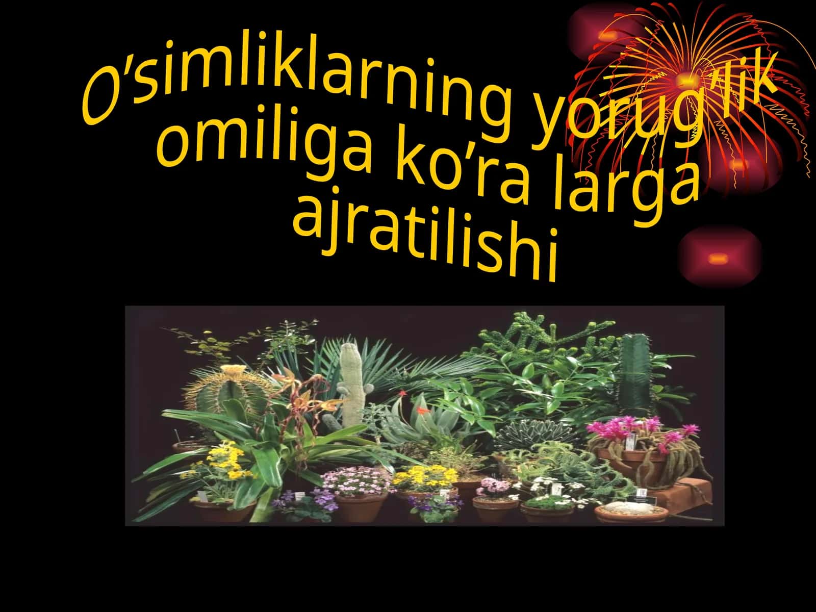 O’simliklarning yorug’lik omiliga ko’ra larga ajratilishi