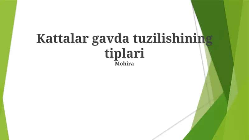 Kattalar gavda tuzilishining tiplari