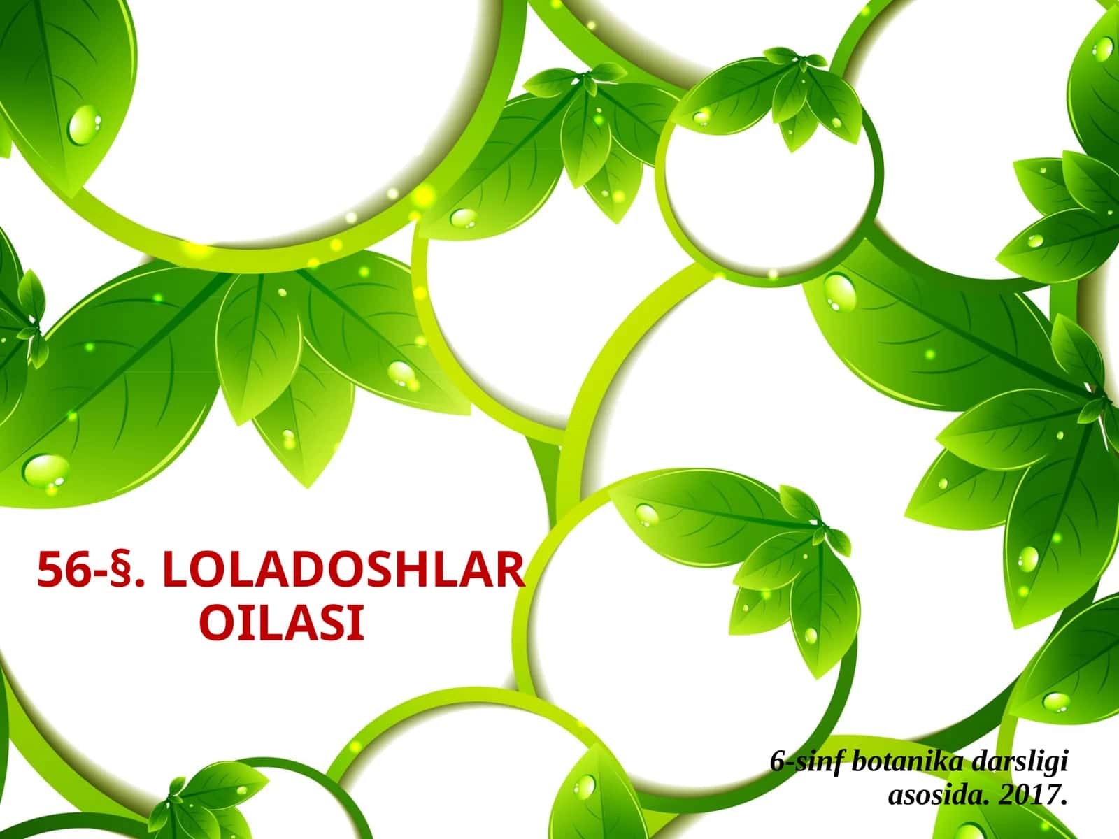 6-sinf Botanika Loladoshlar oilasi
