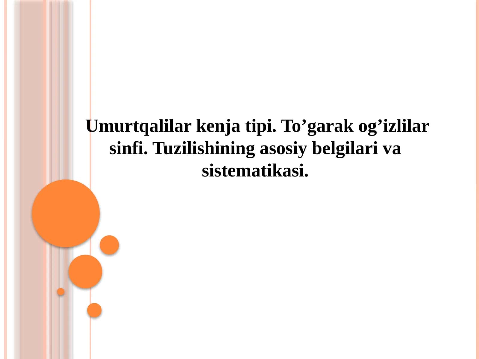 Umurtqalilarning kenja tipi