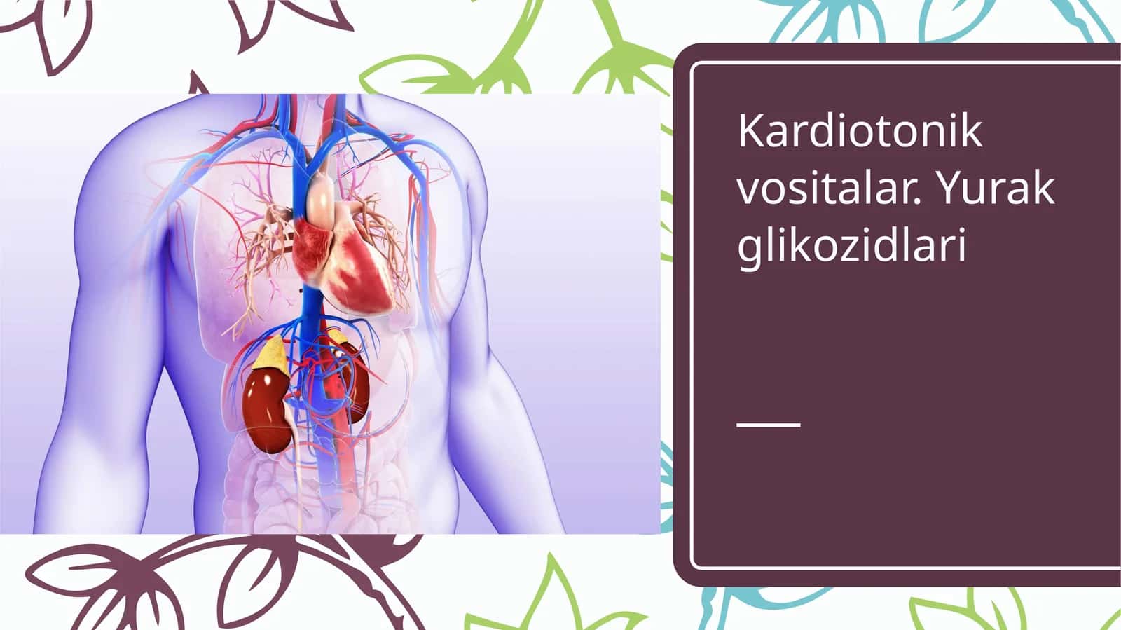 Kardiotonik vositalar. Yurak glikozidlari