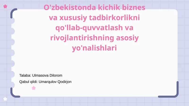 Kichik Biznes va Xususiy Tadbirkorlikni Qo'llab-Quvvatlash