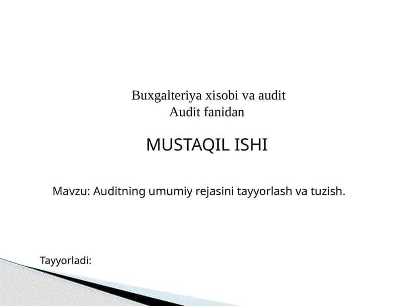 Auditning umumiy rejasini tayyorlash va tuzish