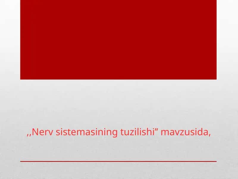 Nerv sistemasining tuzilishi