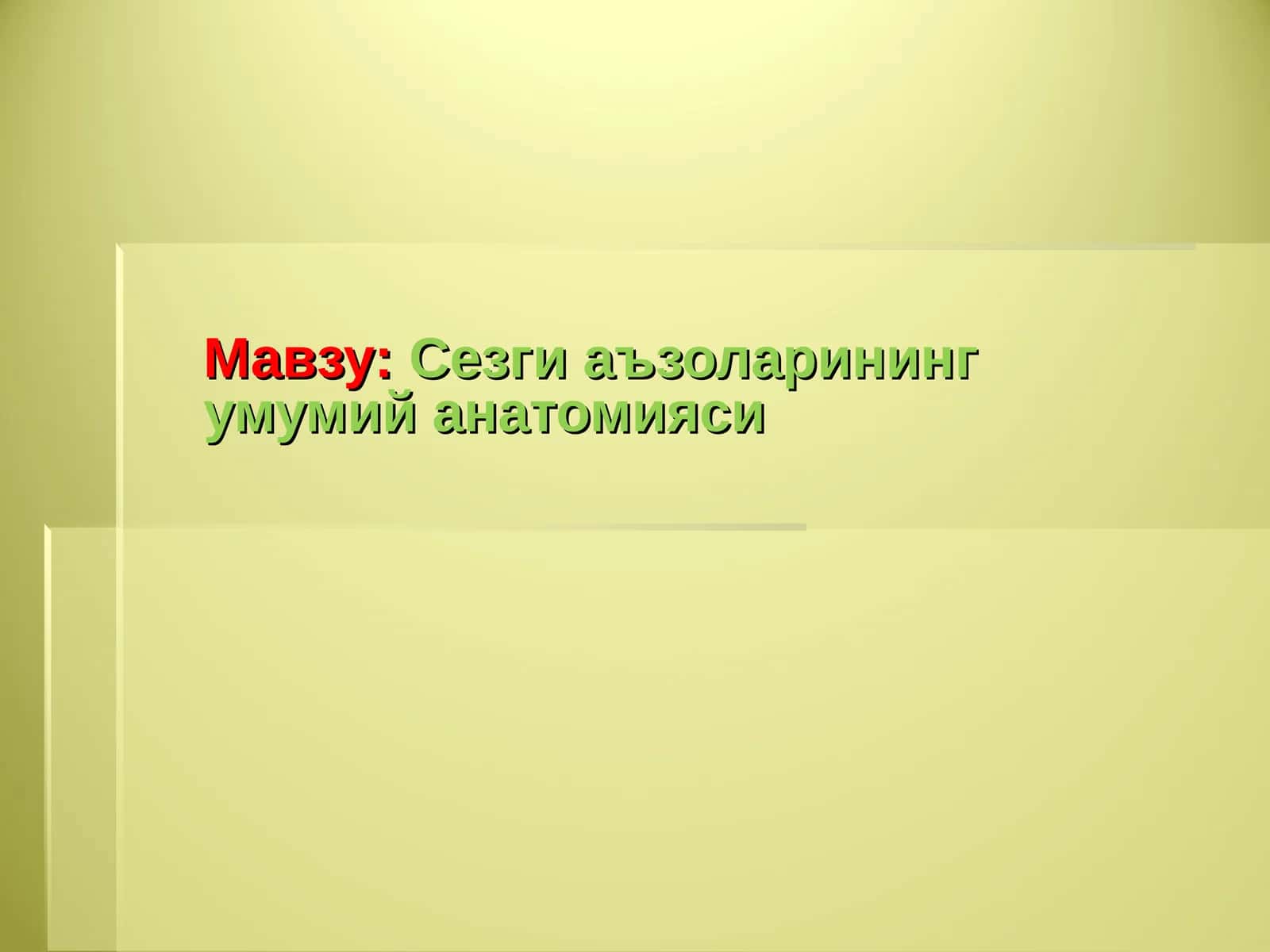 Сезги аъзоларининг умумий анатомияси