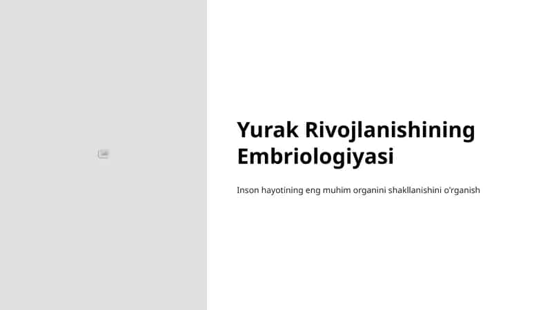 Yurak Rivojlanishining Embriologiyasi