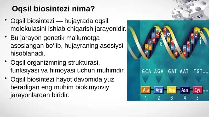 Oqsil biosintezi