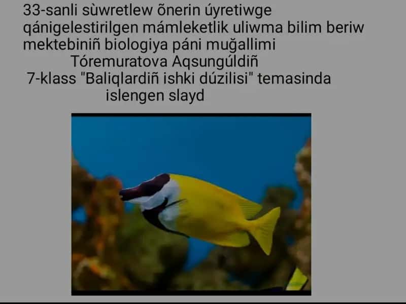 Qoraqalpoq xalqi moddiy va madaniy hayoti