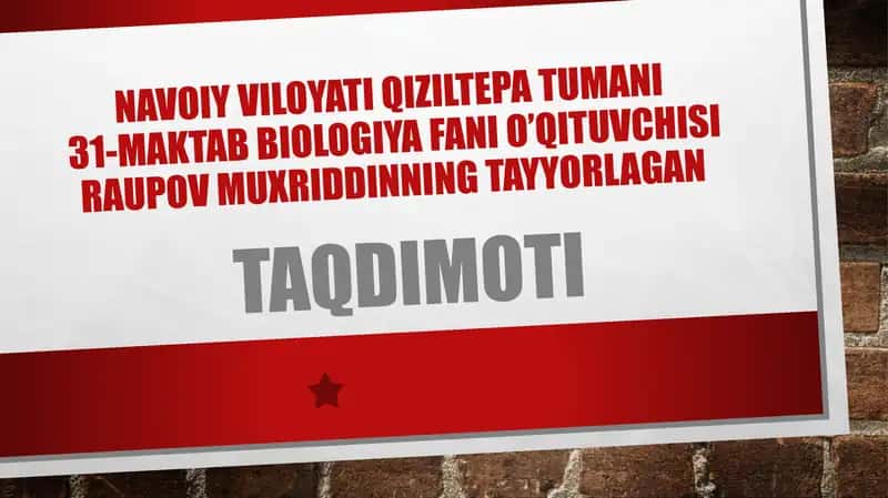 Vitaminlar va ularning ahamiyati