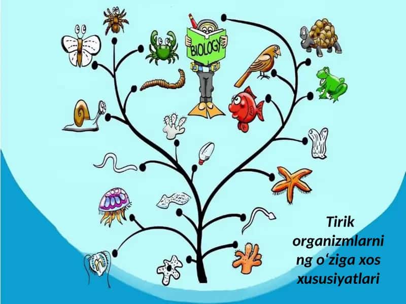 Tirikorganizmlarning o‘zigaxos xususiyatlari