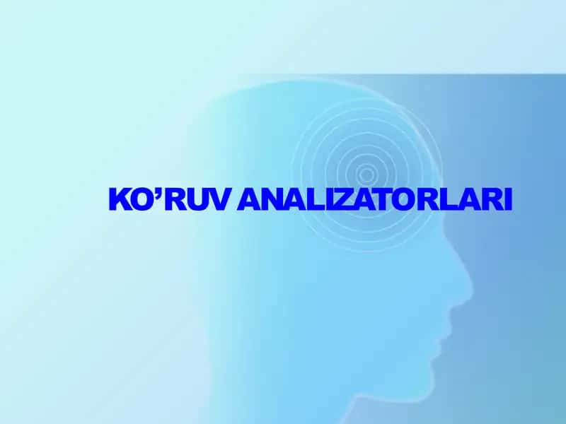 Ko‘ruv analizatorlari