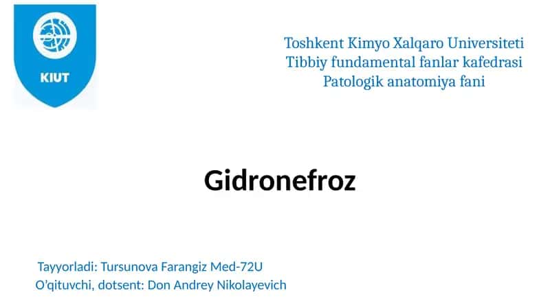 Gidronefroz