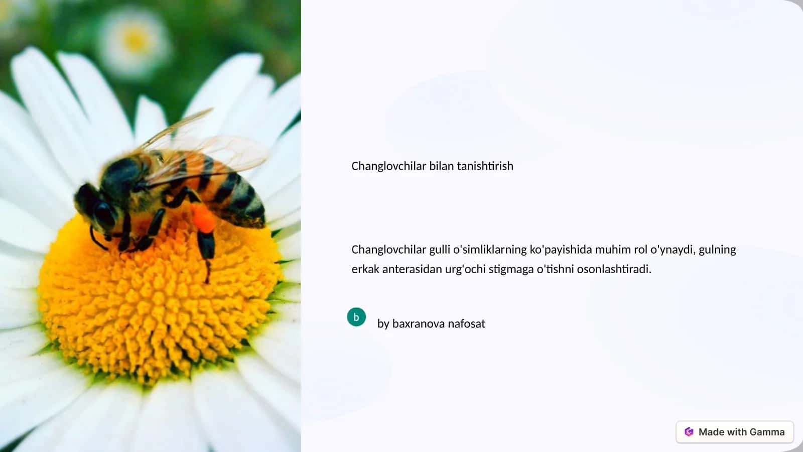 Changlovchilar bilan tanishtirish