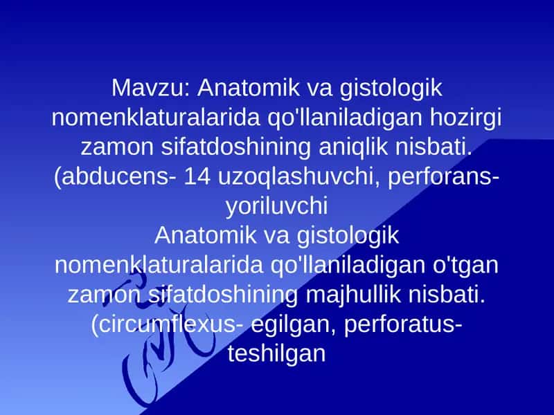 Anatomik va gistologik nomenklaturalarida qo'llaniladigan hozirgi zamon sifatdoshining aniqlik nisbati