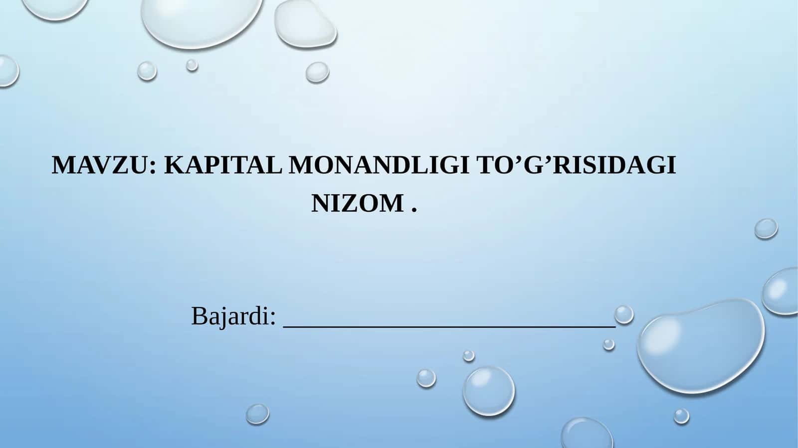 Kapital monandligi to’g’risidagi nizom SLAYD